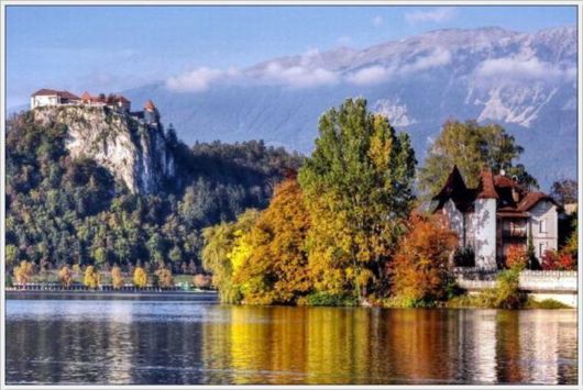 Beauty Of The Golden Nature