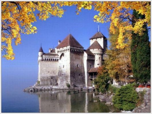 Beauty Of The Golden Nature