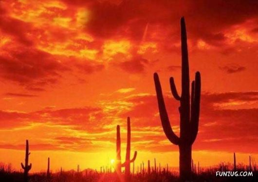 Heavenly Landscapes Photography