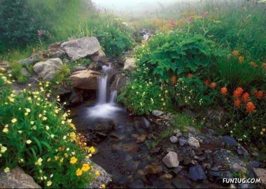 Heavenly Landscapes Photography