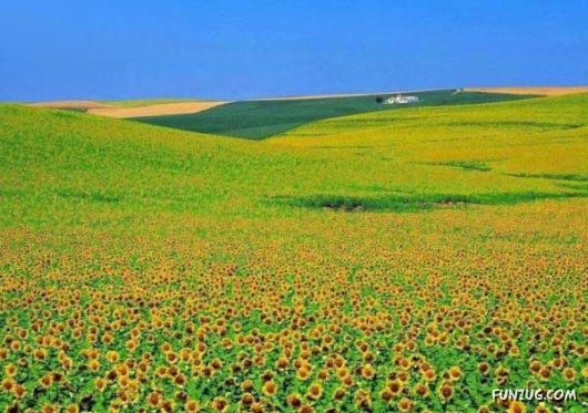 Heavenly Landscapes Photography