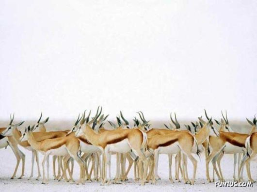 Heavenly Landscapes Photography