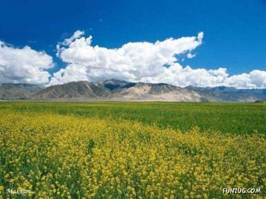 Heavenly Landscapes Photography