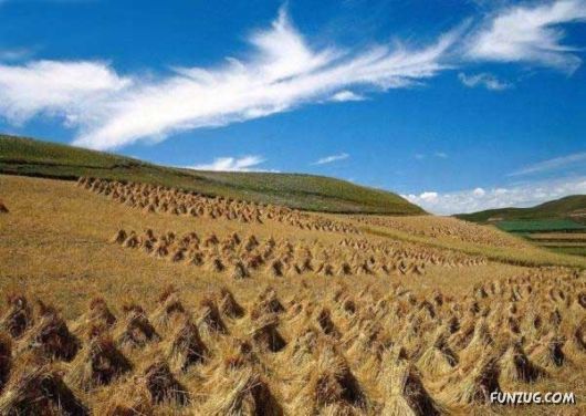 Heavenly Landscapes Photography