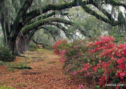 Heavenly Landscapes Photography