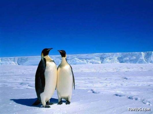 Heavenly Landscapes Photography