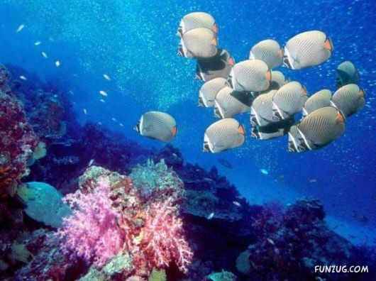 Heavenly Landscapes Photography