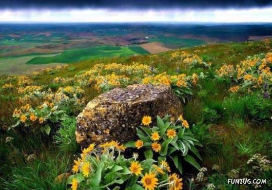 Heavenly Landscapes Photography