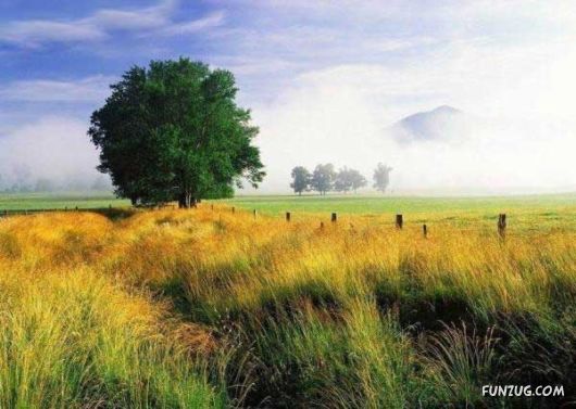 Heavenly Landscapes Photography