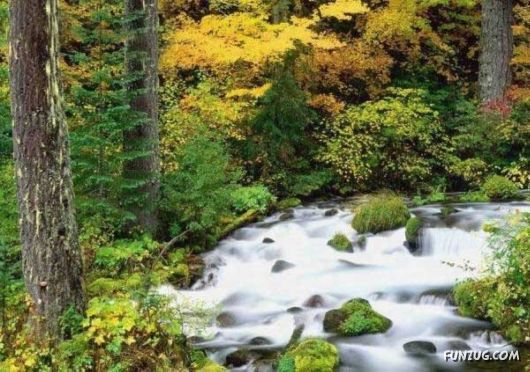 Heavenly Landscapes Photography