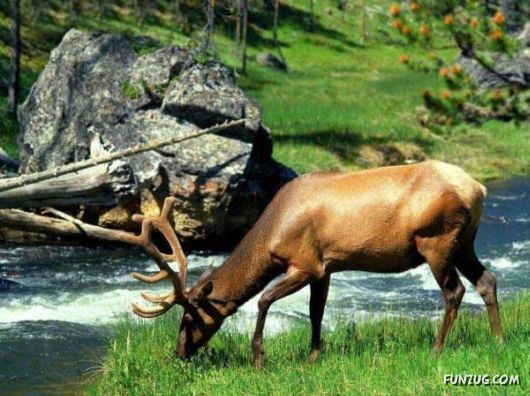 Heavenly Landscapes Photography