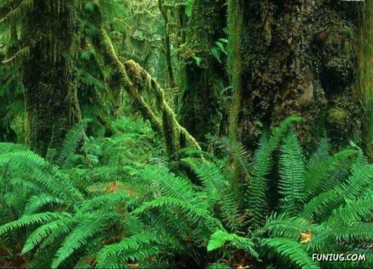 Heavenly Landscapes Photography