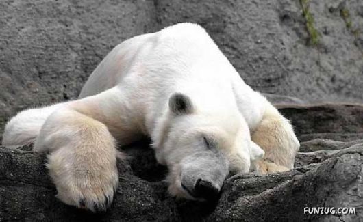 Heavenly Landscapes Photography