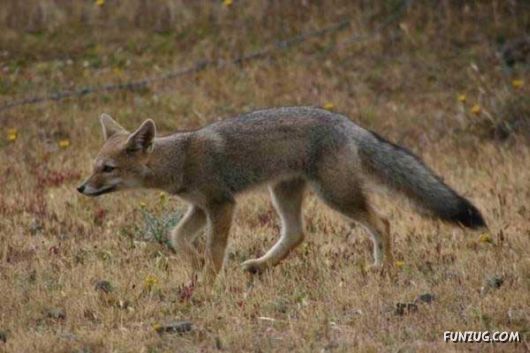 Heavenly Landscapes Photography