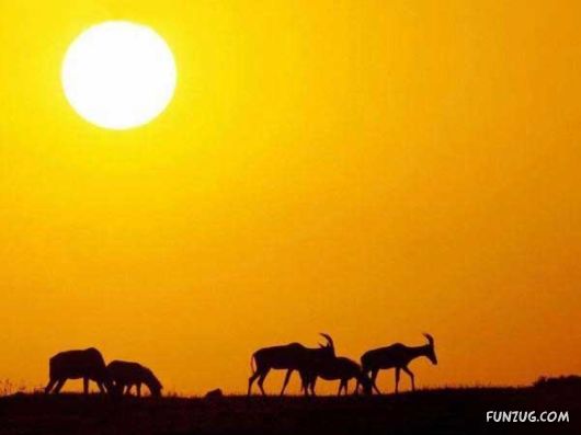 Heavenly Landscapes Photography