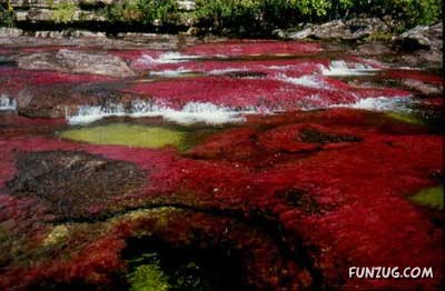 Most Colorful River In The World