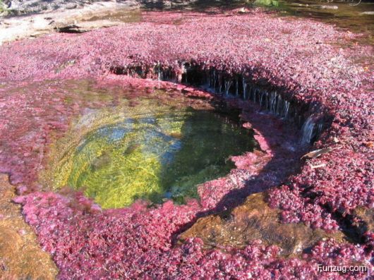 Most Colorful River In The World