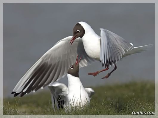 Beautiful Gifts By Nature