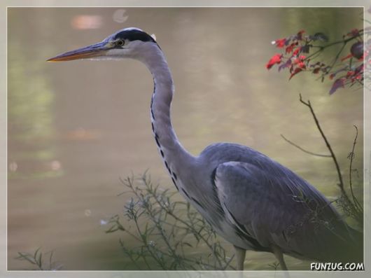 Beautiful Gifts By Nature