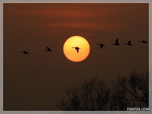 Beautiful Gifts By Nature