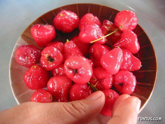 Delicious Rose Apple (Chambakka)