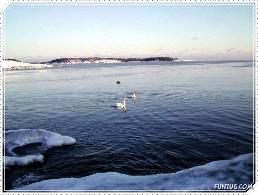 Snow Beauty In Sweden
