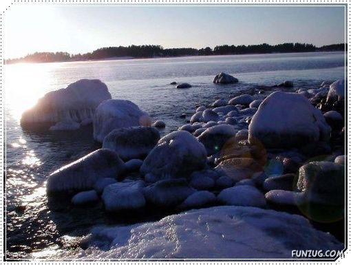 Snow Beauty In Sweden