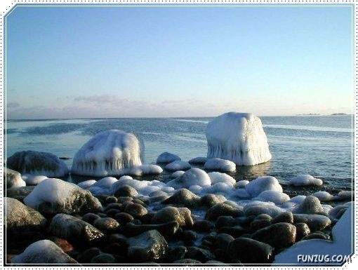 Snow Beauty In Sweden