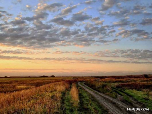 Spirits Of The Nature