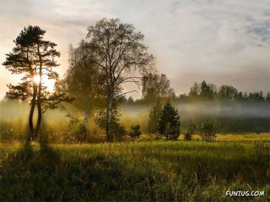 Spirits Of The Nature