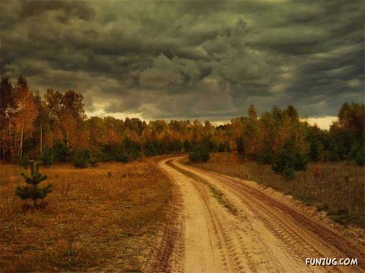 Spirits Of The Nature