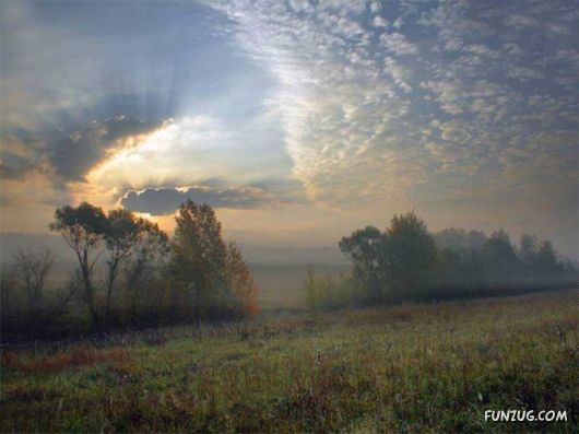 Spirits Of The Nature