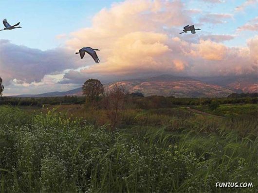 Spirits Of The Nature
