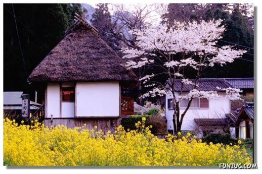 Why We Love The Spring Season
