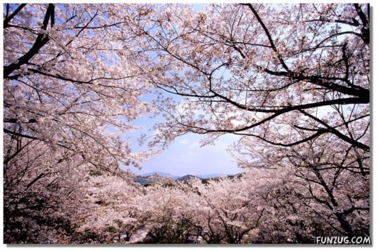 Why We Love The Spring Season