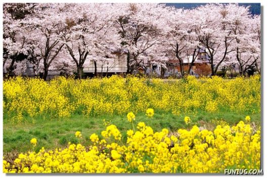 Why We Love The Spring Season