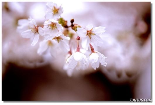 Why We Love The Spring Season