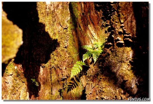 Why We Love The Spring Season