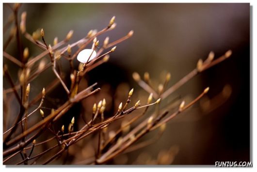 Why We Love The Spring Season