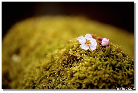 Why We Love The Spring Season