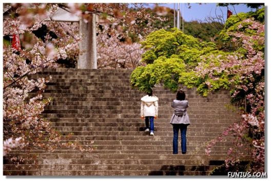 Why We Love The Spring Season