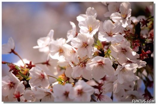 Why We Love The Spring Season