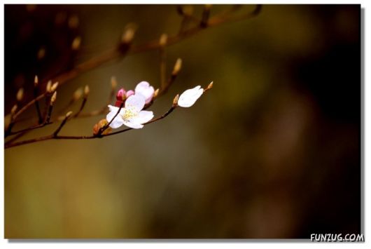 Why We Love The Spring Season