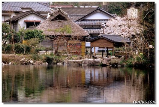 Why We Love The Spring Season