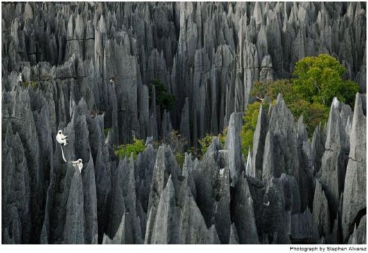 Beautiful Stone Forest of Madagascar