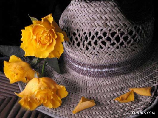 Beautiful Yellow Roses for You