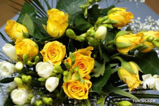 Beautiful Yellow Roses for You