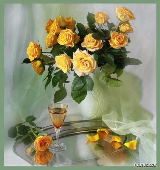 Beautiful Yellow Roses for You