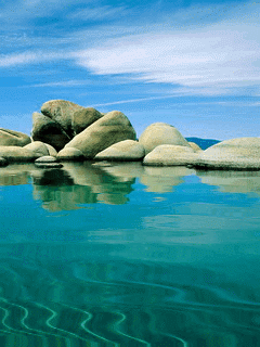 Beautiful Animated Nature