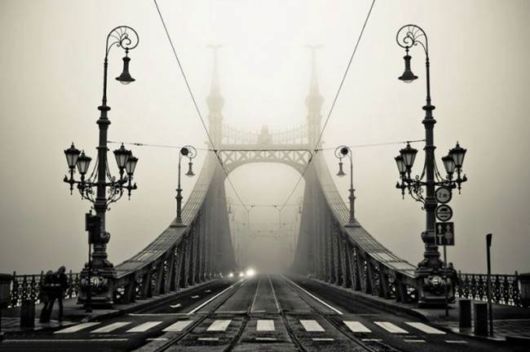Amazing Foggy Nature Pictures